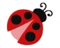 Preview: Marienkäfer